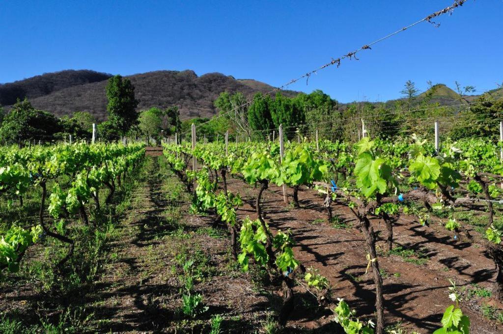 Finca Cielo Verde Chicoana Buitenkant foto